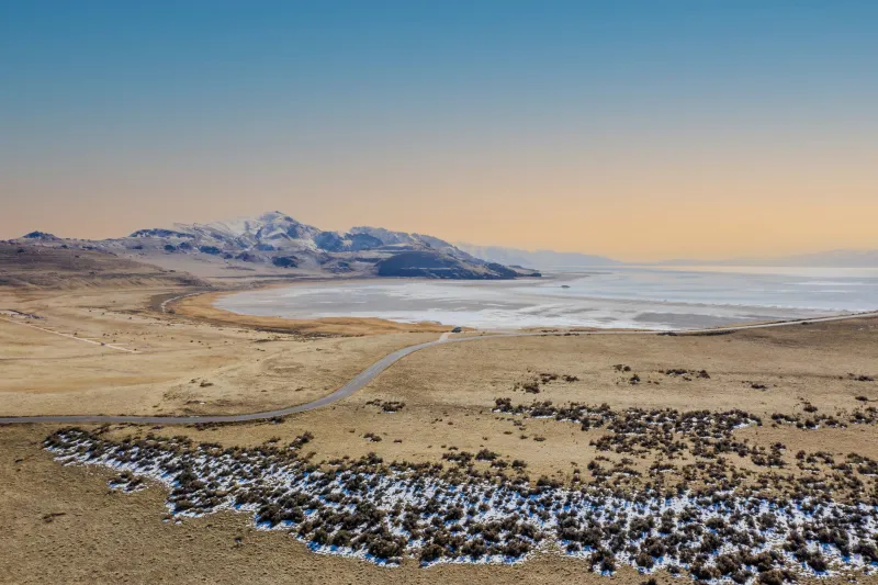 Fifty Screens, Fifty Moods: A State-by-State Tour of America's Wallpaper Obsessions
