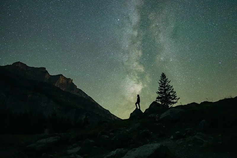 Why You Keep Changing Your Wallpaper (And What Your Brain Is Actually Doing When You Do)