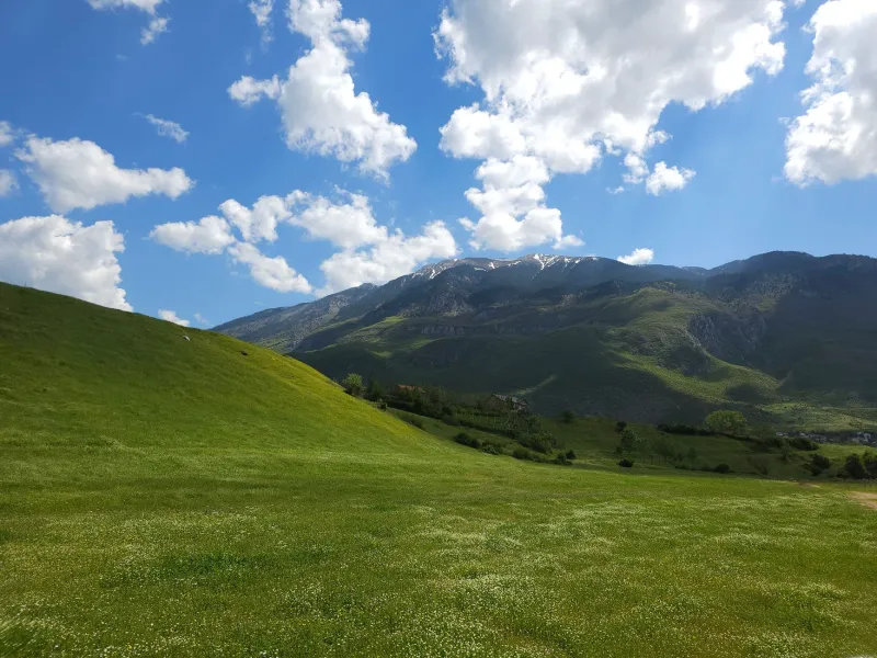 The Hills Are Still Green: Why Millions of Americans Refuse to Change Their Default Wallpaper